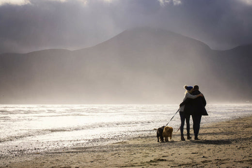 A couple stands on an Irish beach, embracing each other while walking their dog.