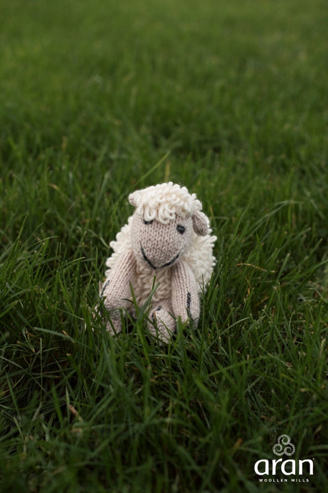 Shepley The Sheep Teddy