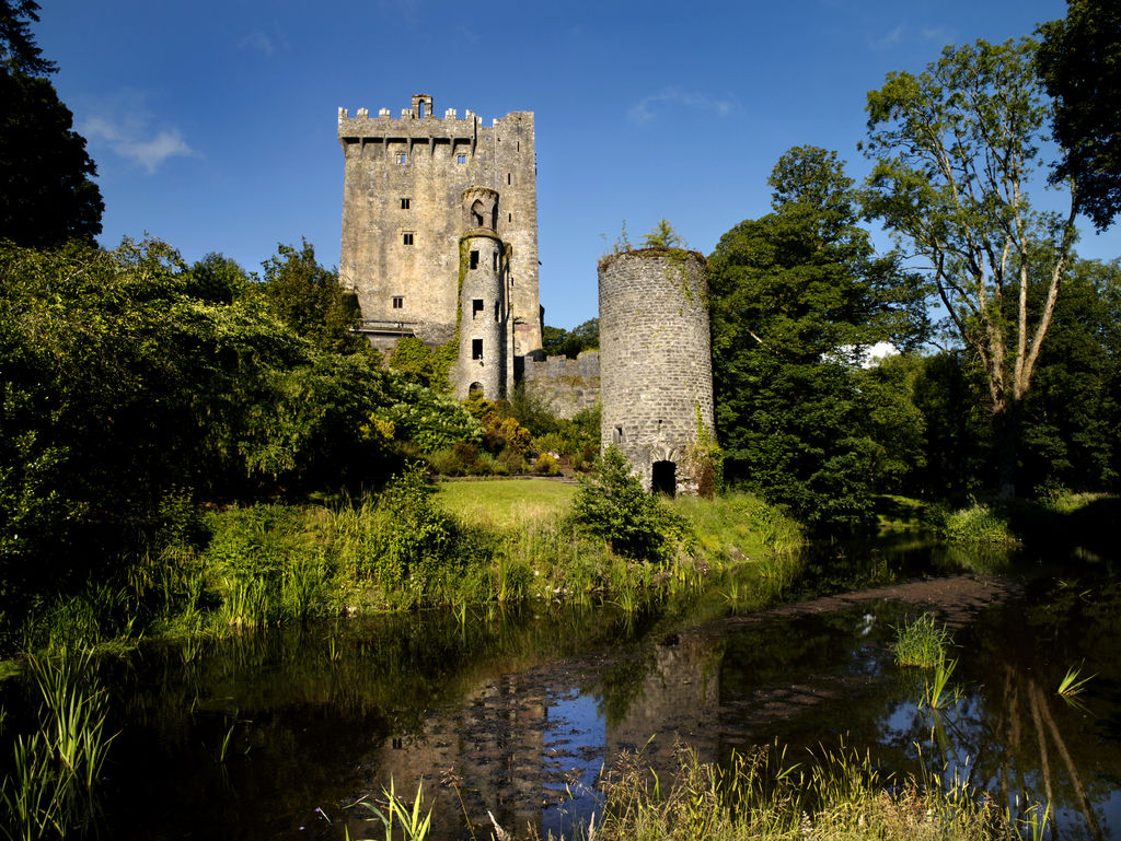 Blarney Castle stands amidst lush greenery and bluebell flowers under a blue sky. 
