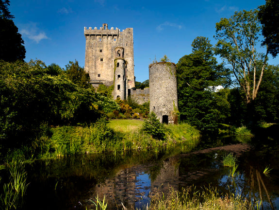 Blarney Castle stands amidst lush greenery and bluebell flowers under a blue sky. 