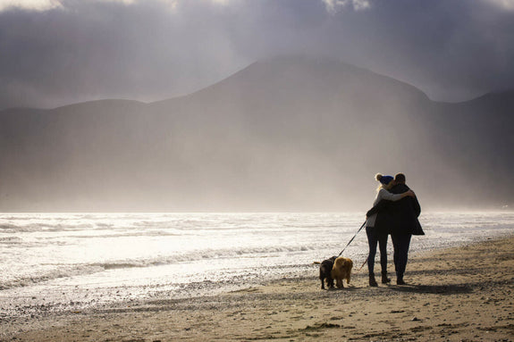 A couple stands on an Irish beach, embracing each other while walking their dog.