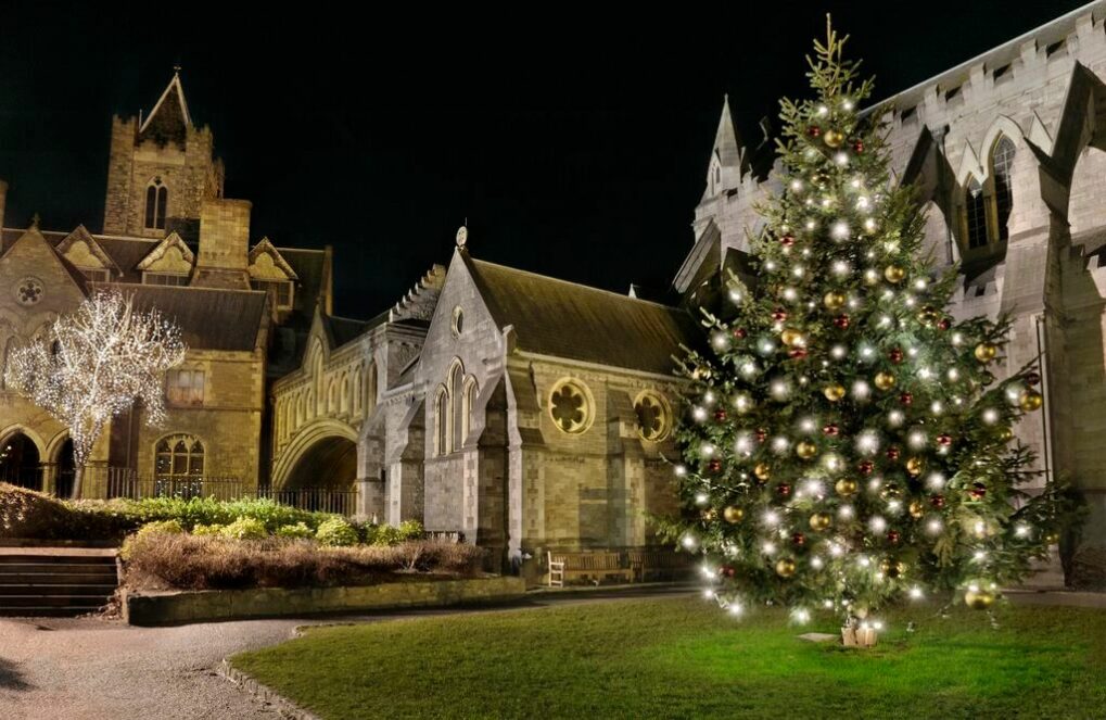 Christchurch Cathedral Dublin. A beautifully decorated Christmas tree twinkles with lights in a park, surrounded by historic stone buildings illuminated at night. A small, lit tree can also be seen to the left, enhancing the festive atmosphere.