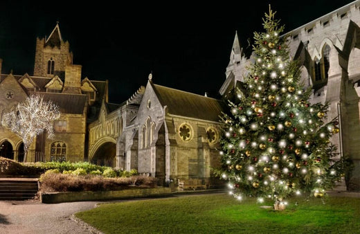 Christchurch Cathedral Dublin. A beautifully decorated Christmas tree twinkles with lights in a park, surrounded by historic stone buildings illuminated at night. A small, lit tree can also be seen to the left, enhancing the festive atmosphere.