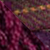 Purple / S / Wine